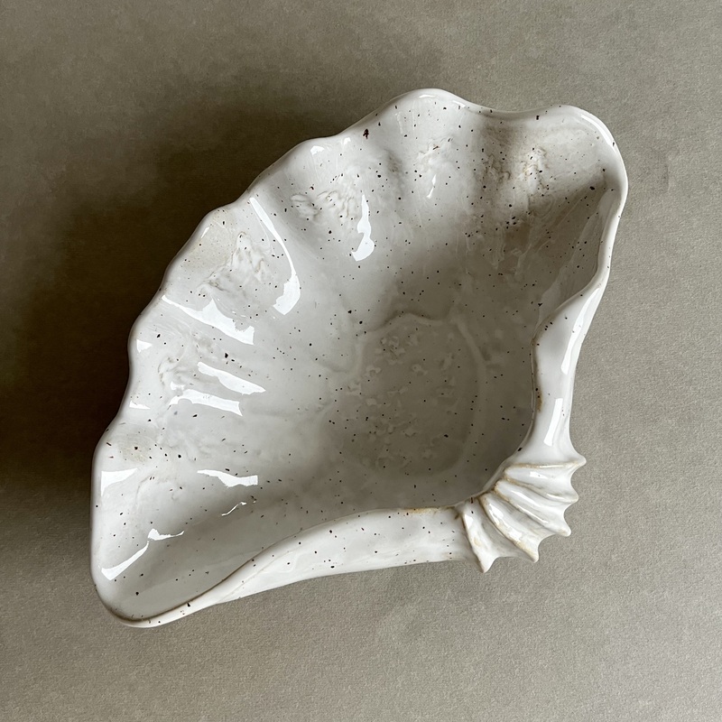 Tridacna - snäckskal - Image 2